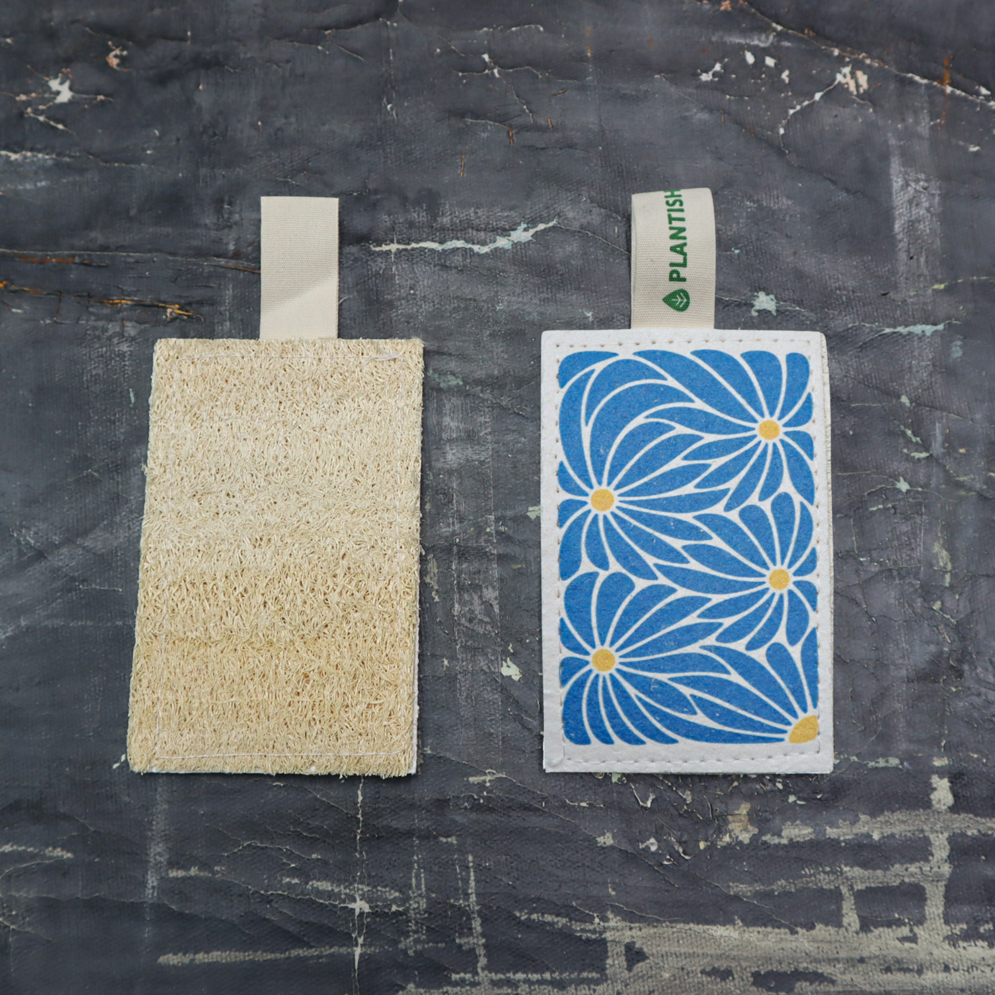 Blue Daisy - NEW Eco Sponge