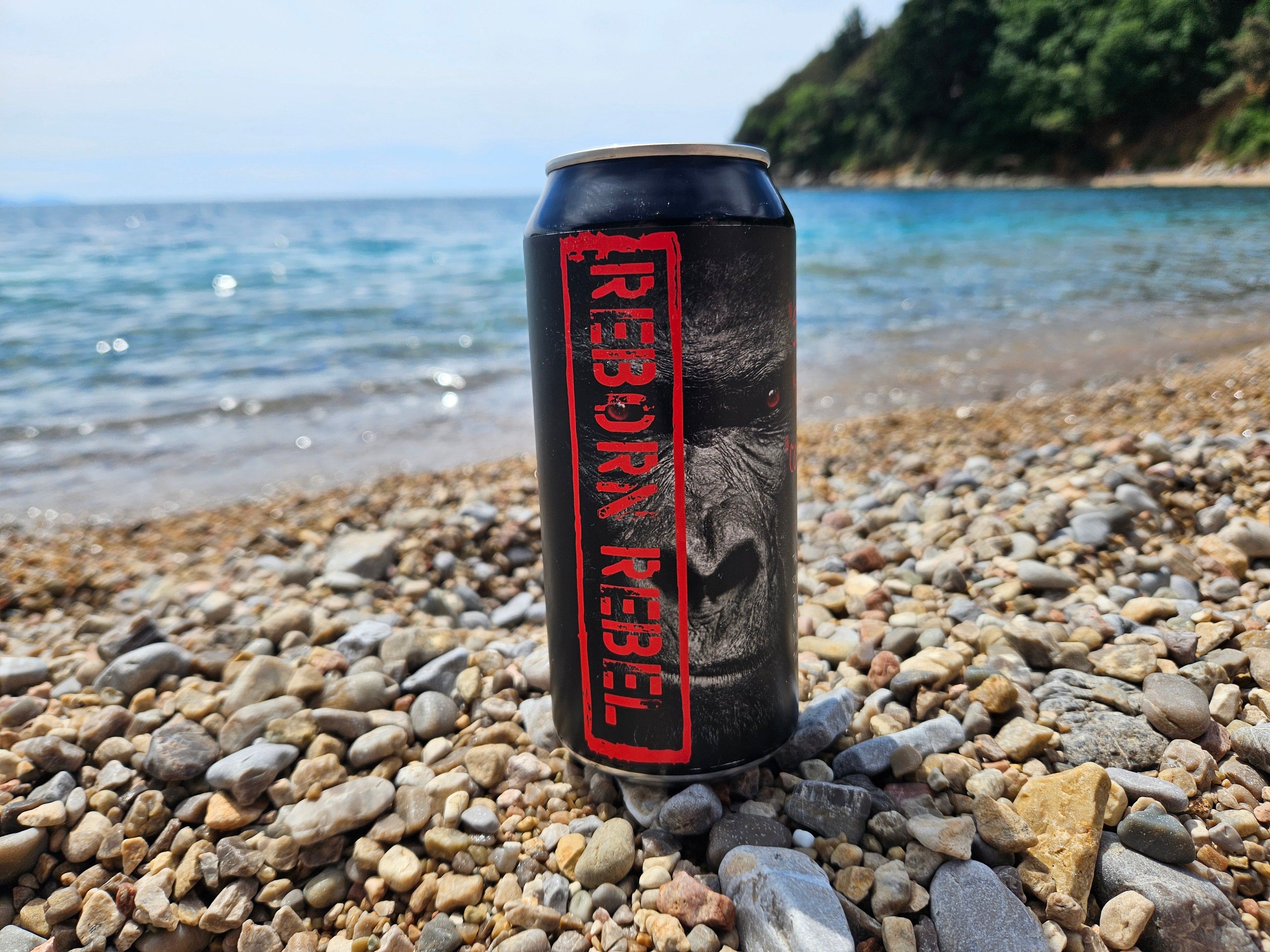 Reborn Energy - Fuel the Rebirth!