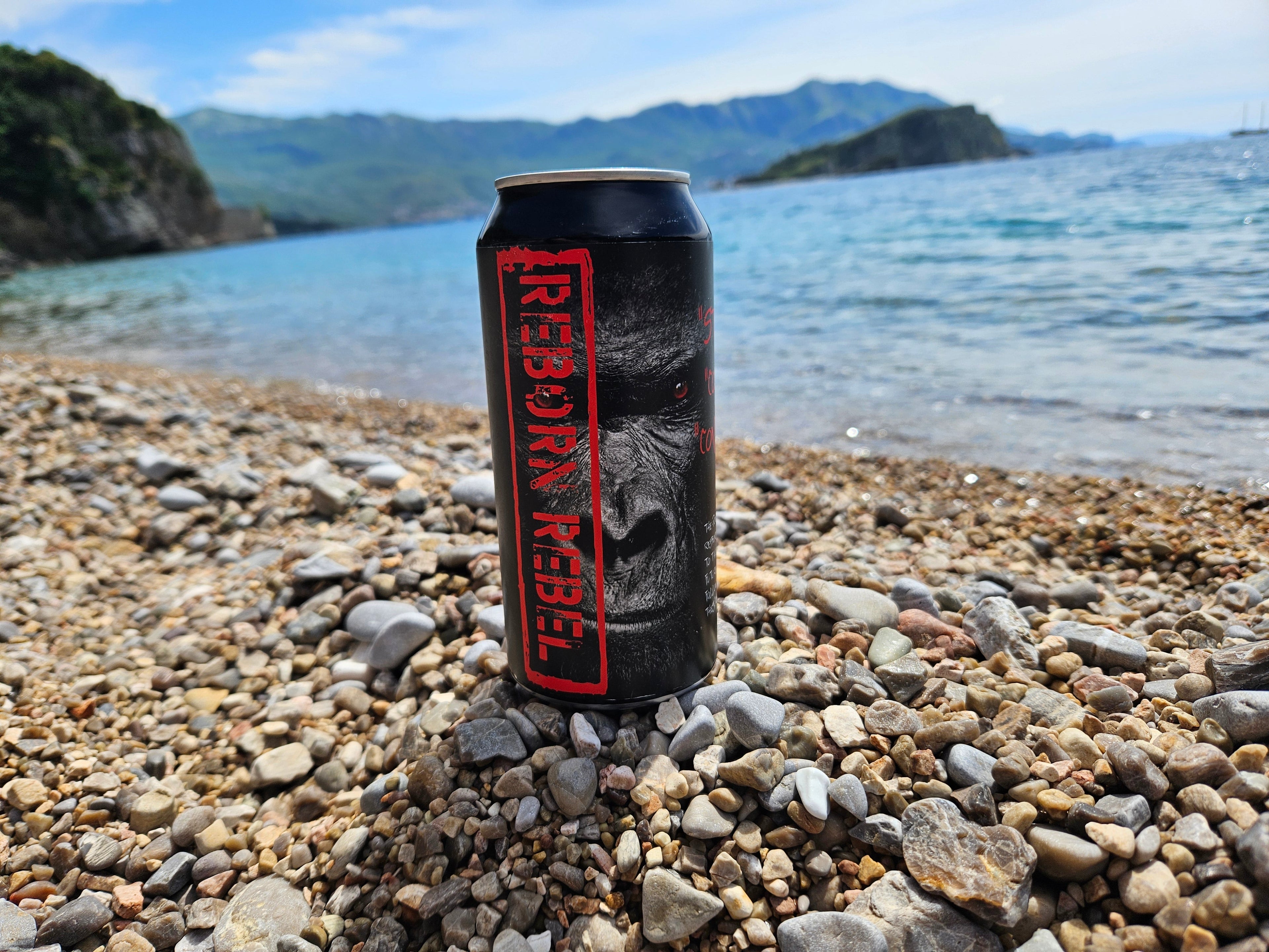Reborn Energy - Fuel the Rebirth!