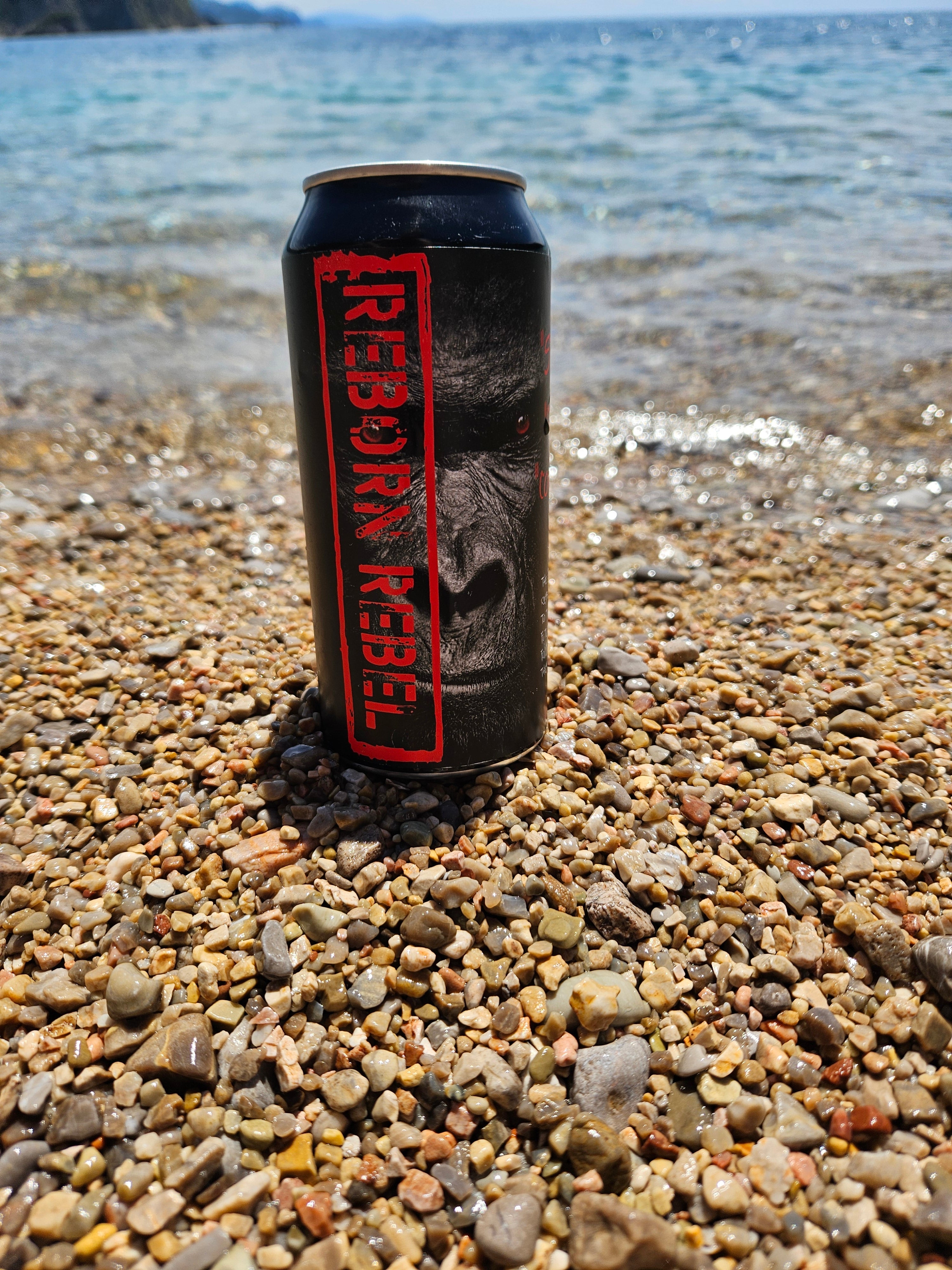 Reborn Energy - Fuel the Rebirth!