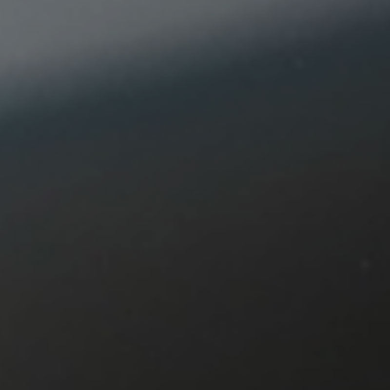 Deksler til girvelger for Model 3 2018-2023/Model Y 2021-2024