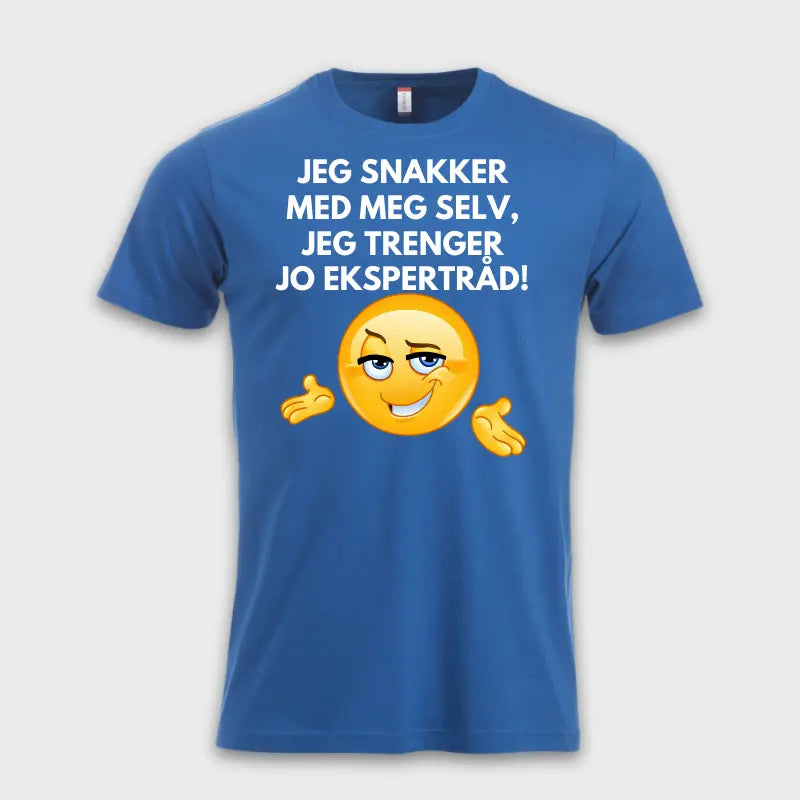JEG SNAKKER MED MEG SELV, JEG TRENGER JO EKSPERTRÅD!