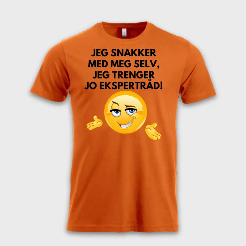 JEG SNAKKER MED MEG SELV, JEG TRENGER JO EKSPERTRÅD!