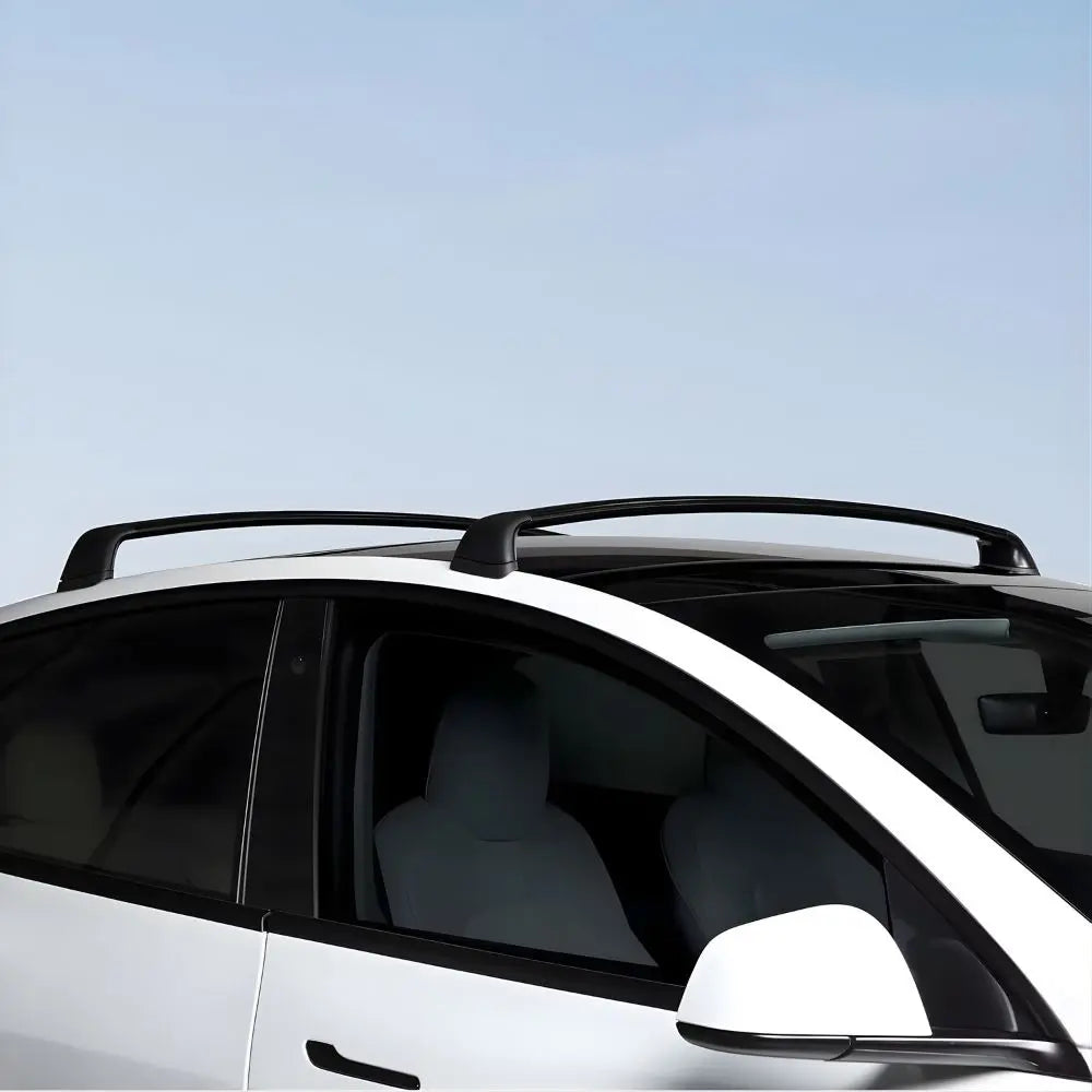 Takstativ PRO med lås for Tesla Model 3
