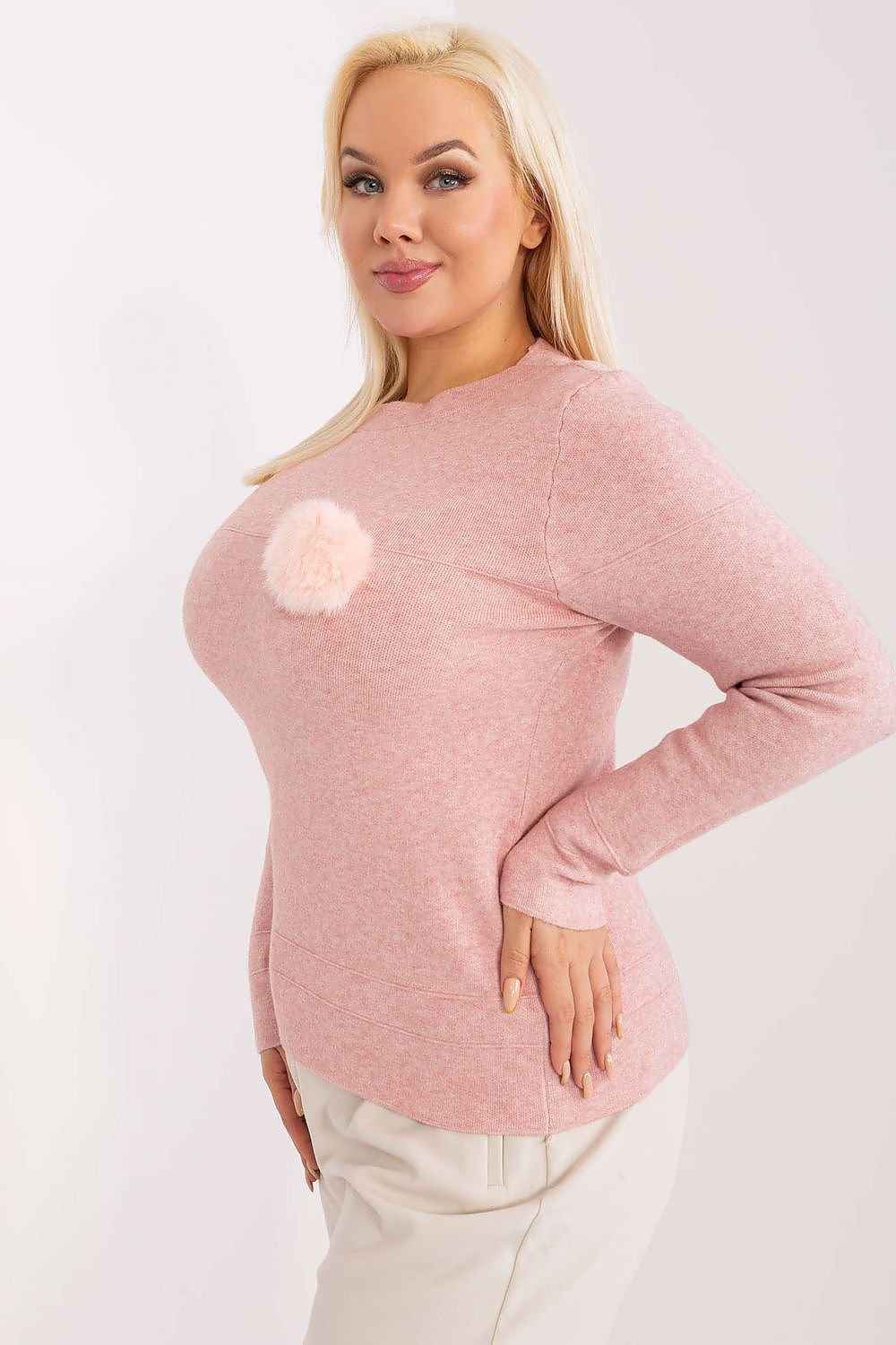 Rundhalsen Jumper plus size