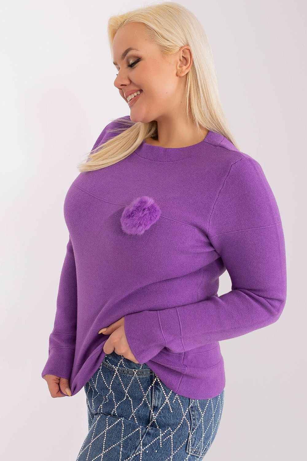 Rundhalsen Jumper plus size