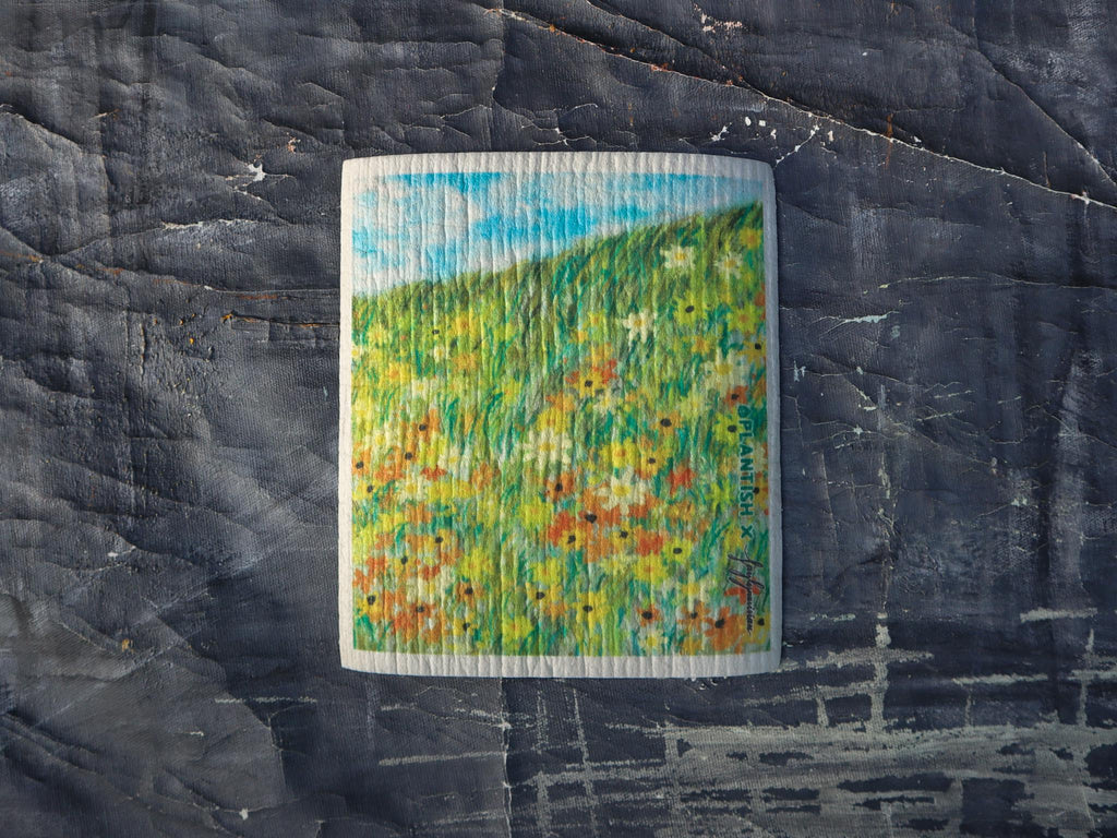 Picturesque Artistry - Swedish Sponge Cloth Set